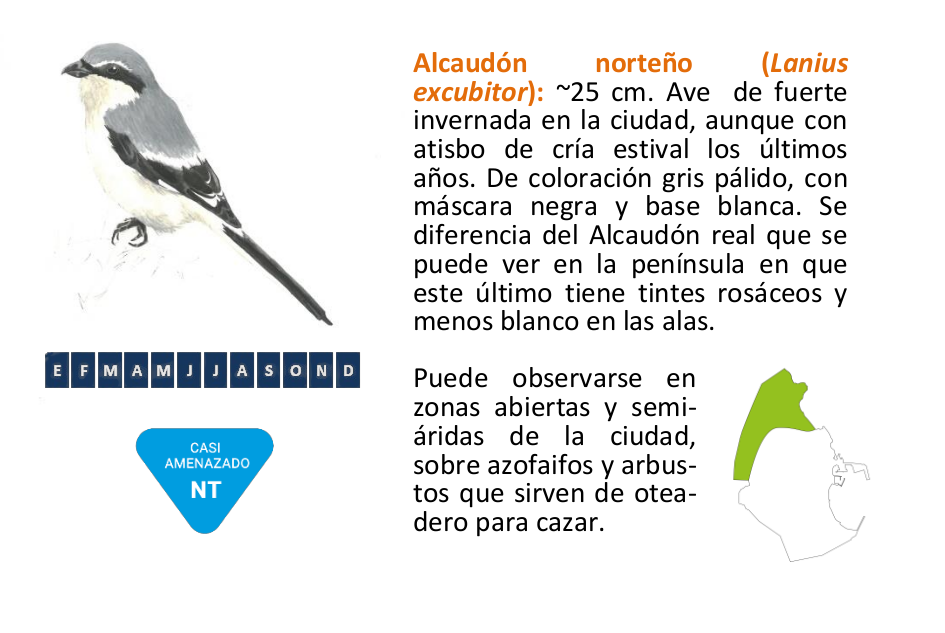 Captura desde 2025-12-04 09-07-27