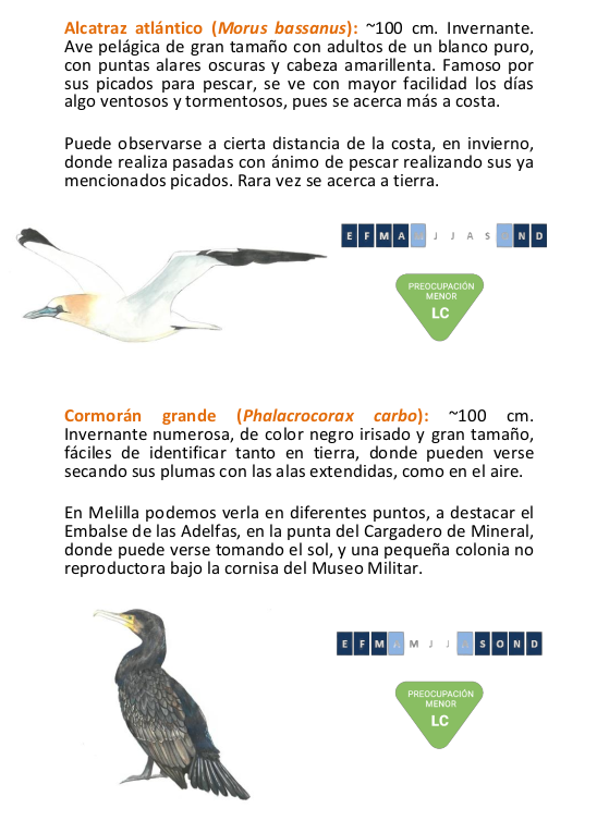 Captura desde 2025-12-04 09-08-48