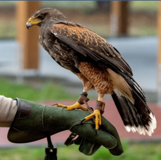 Captura desde 2025-12-04 09-09-08